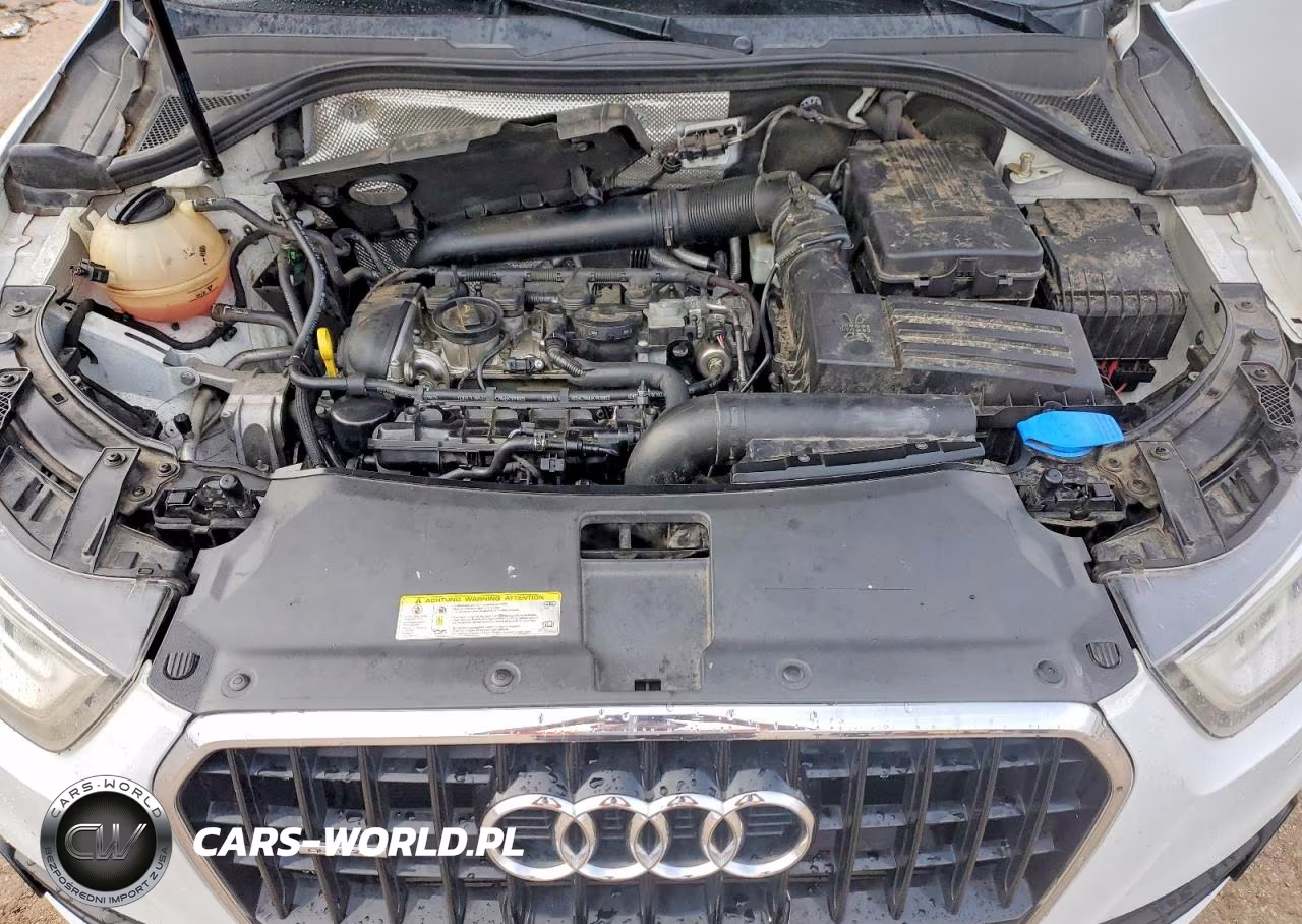 2015 Audi Q3 Premium Plus VIN:WA1EFCFS3FR010342 - 12