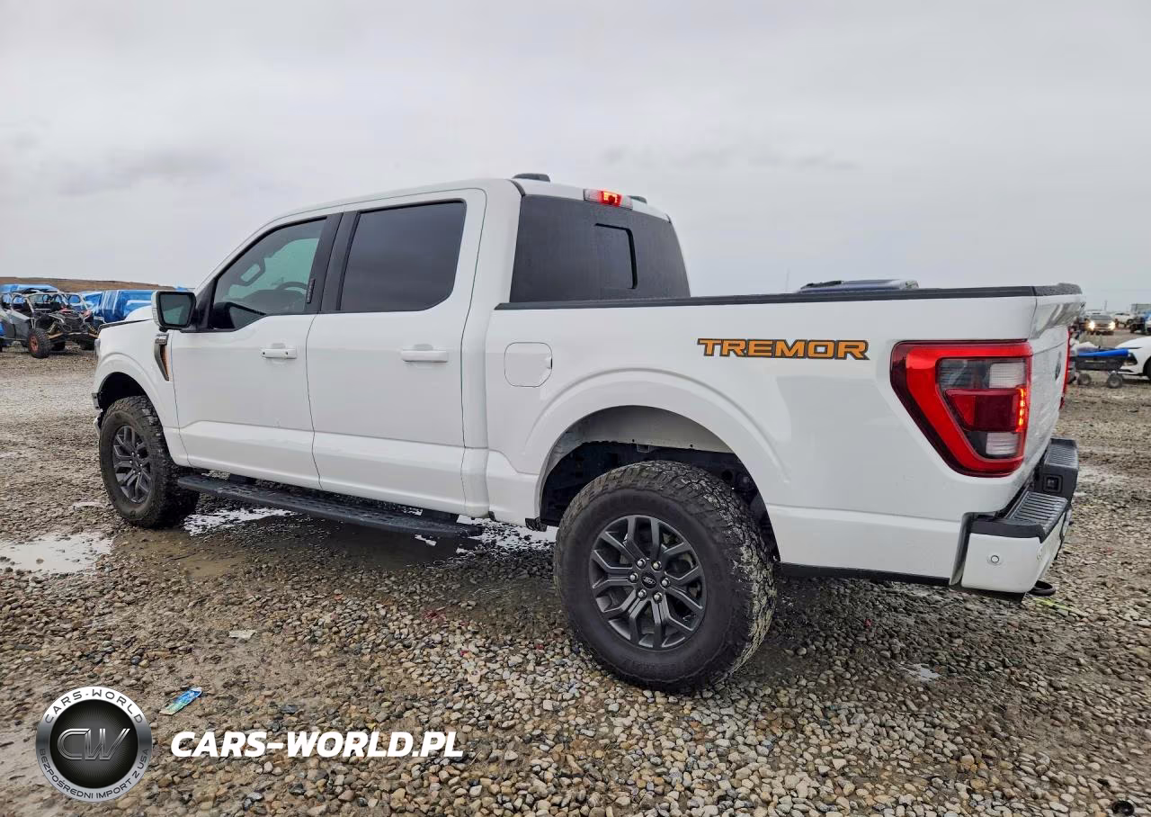 2022 Ford F150 Supercrew VIN:1FTEW1E85NFB90102 - 2