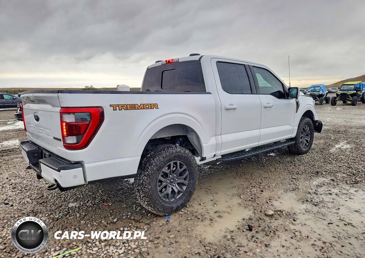 2022 Ford F150 Supercrew VIN:1FTEW1E85NFB90102 - 3