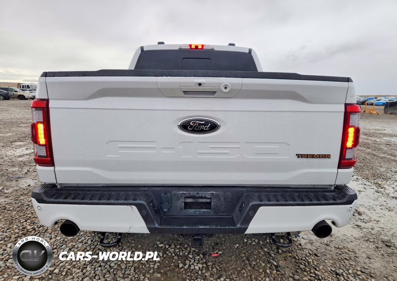 2022 Ford F150 Supercrew VIN:1FTEW1E85NFB90102 - 6
