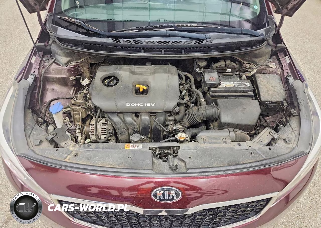 2018 Kia Forte Lx VIN:3KPFL4A79JE166806 - 11