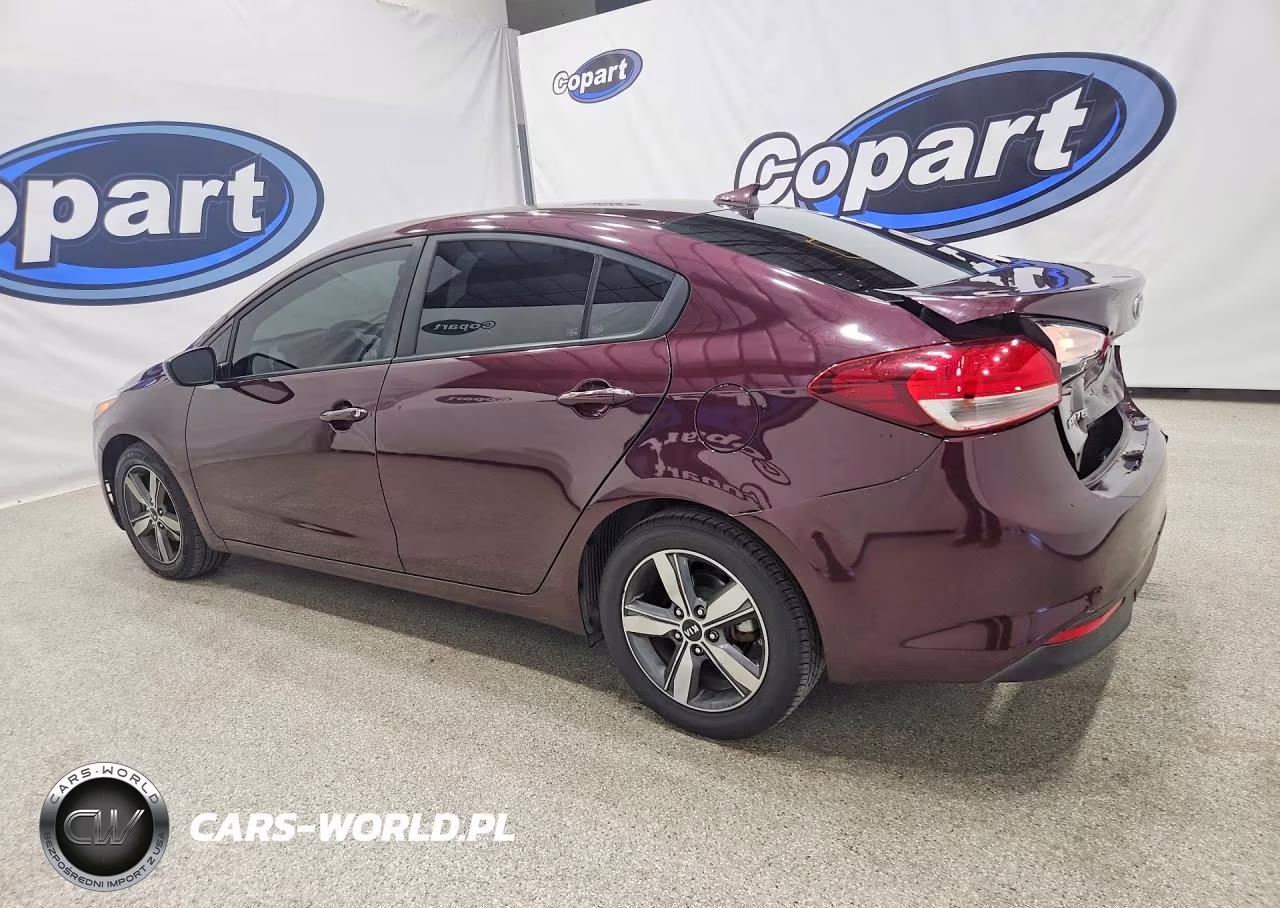 2018 Kia Forte Lx VIN:3KPFL4A79JE166806 - 2