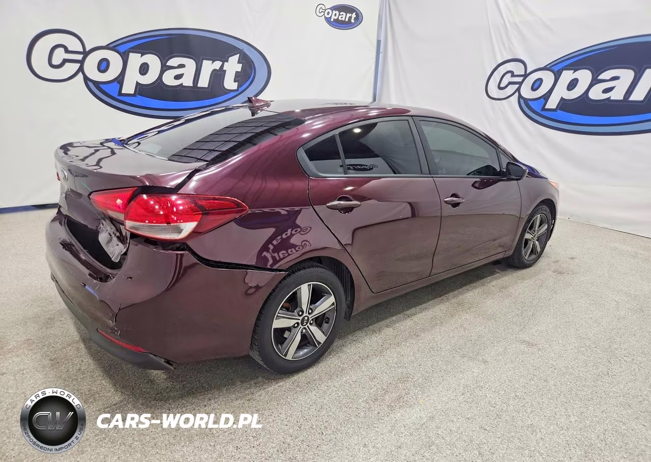 2018 Kia Forte Lx VIN:3KPFL4A79JE166806 - 3
