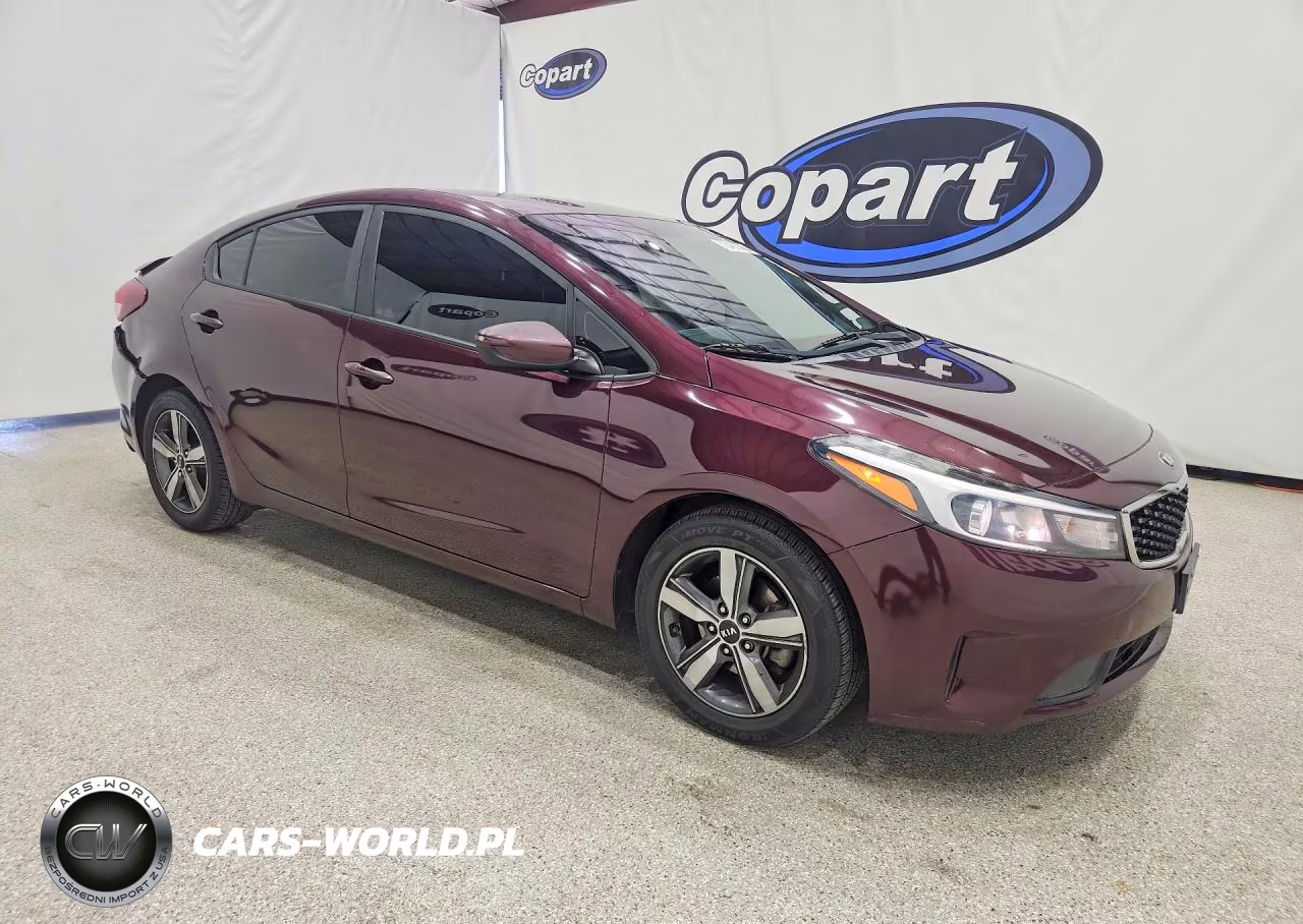 2018 Kia Forte Lx VIN:3KPFL4A79JE166806 - 4