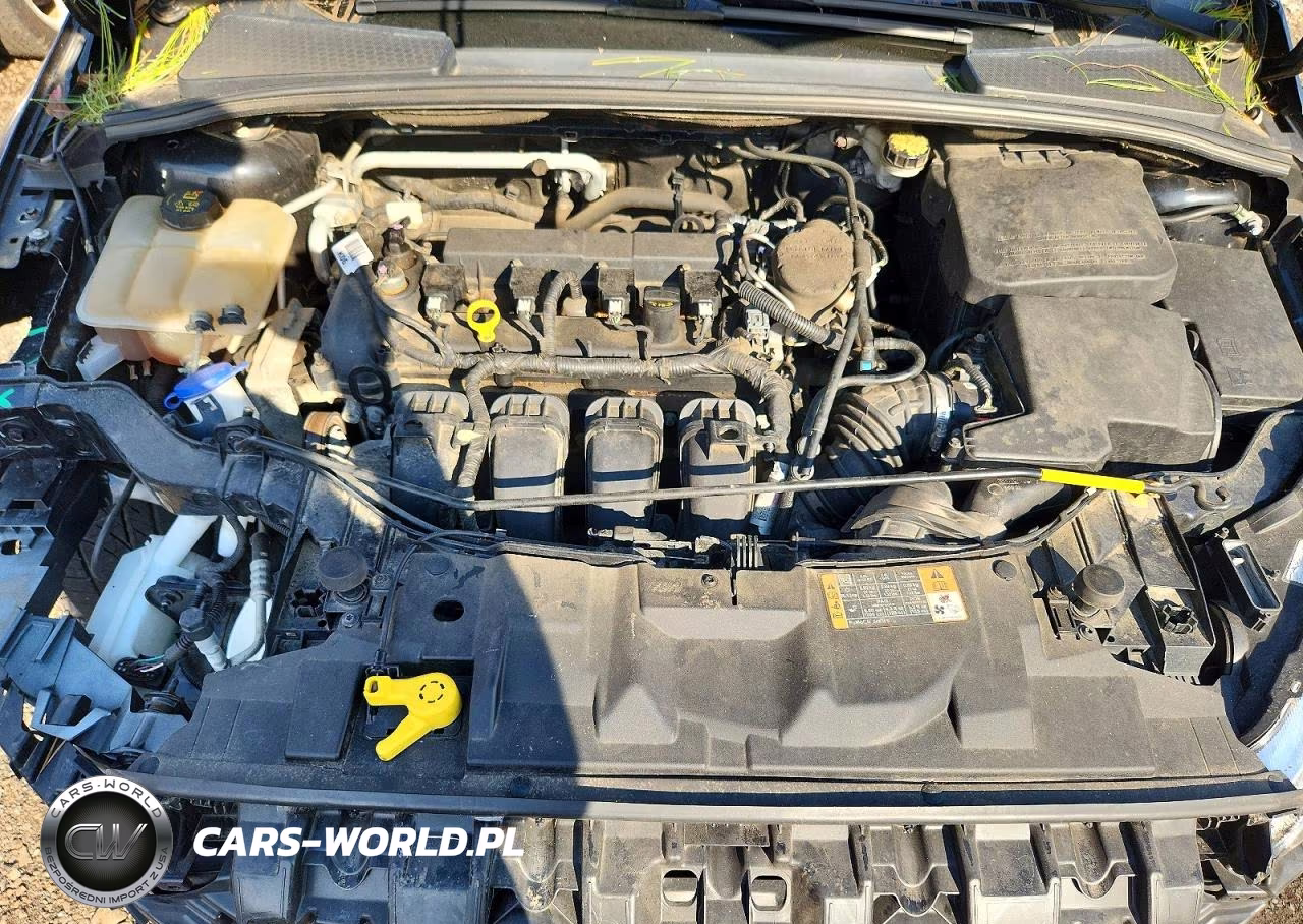 2016 Ford Focus Titanium VIN:1FADP3N28GL256510 - 11