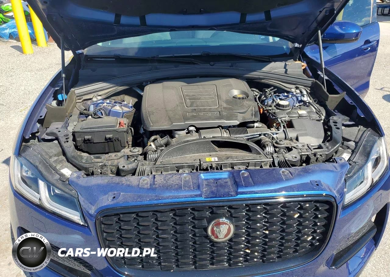 2023 Jaguar F-Pace S VIN:SADCJ2EX0PA713825 - 12
