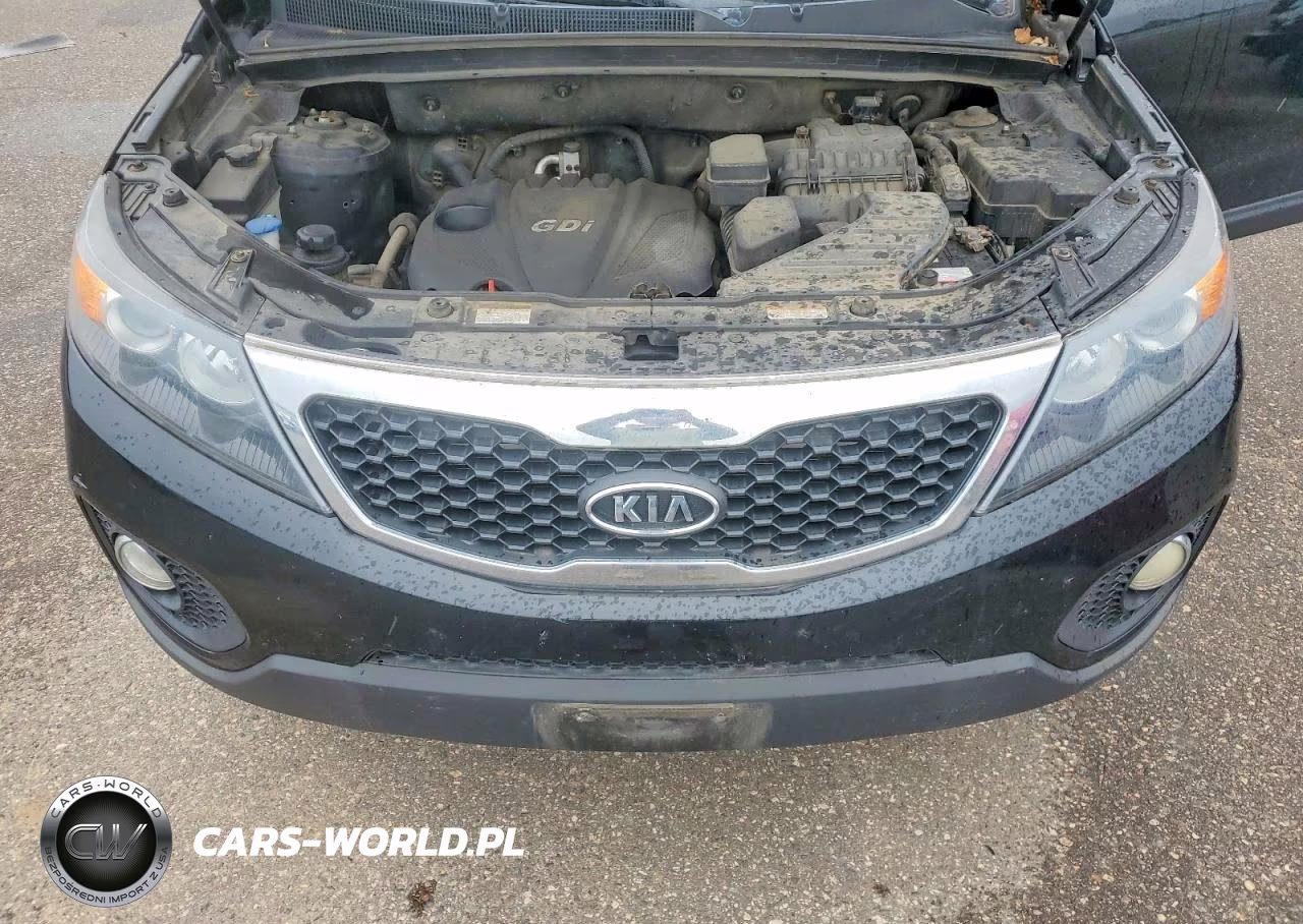 2013 Kia Sorento Lx VIN:5XYKT3A62DG324328 - 12