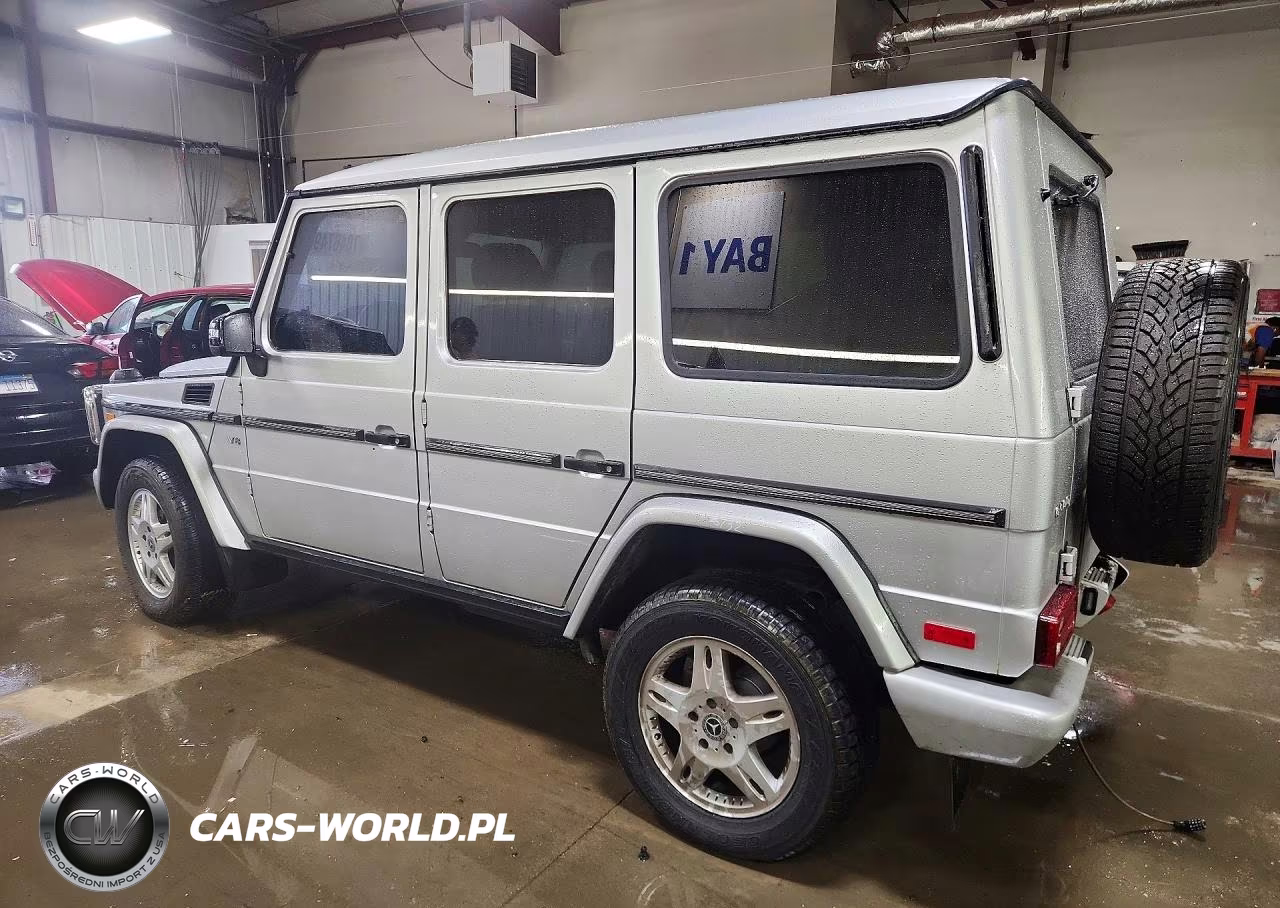 2003 Mercedes-Benz G 500 VIN:WDCYR49E13X135086 - 2