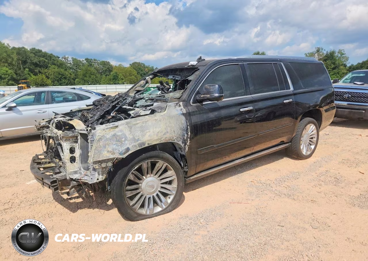 2016 Cadillac Escalade Esv Premium VIN:1GYS3JKJ9GR286927 - 1