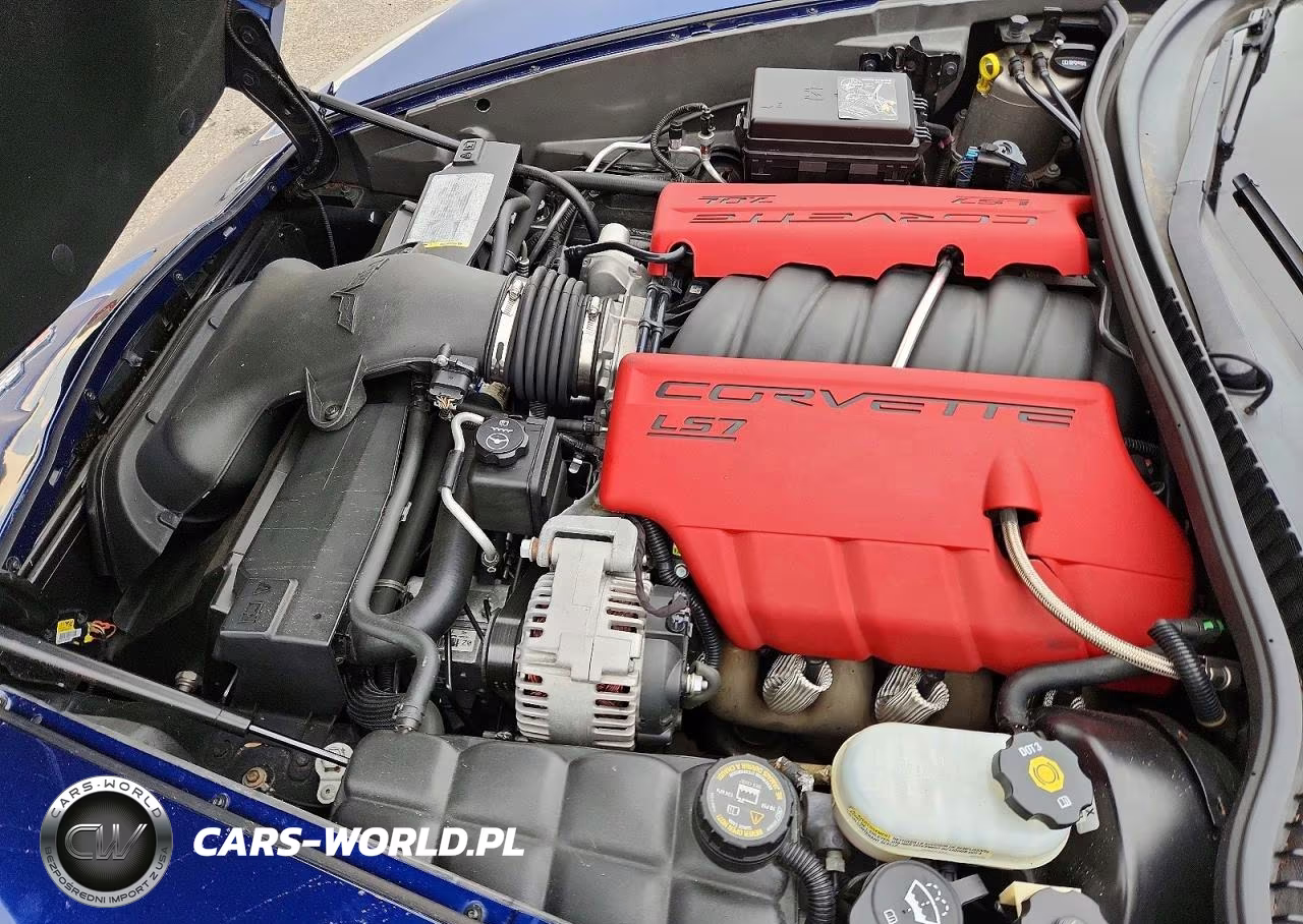 2006 Chevrolet Corvette Z06 VIN:1G1YY26E165107685 - 11