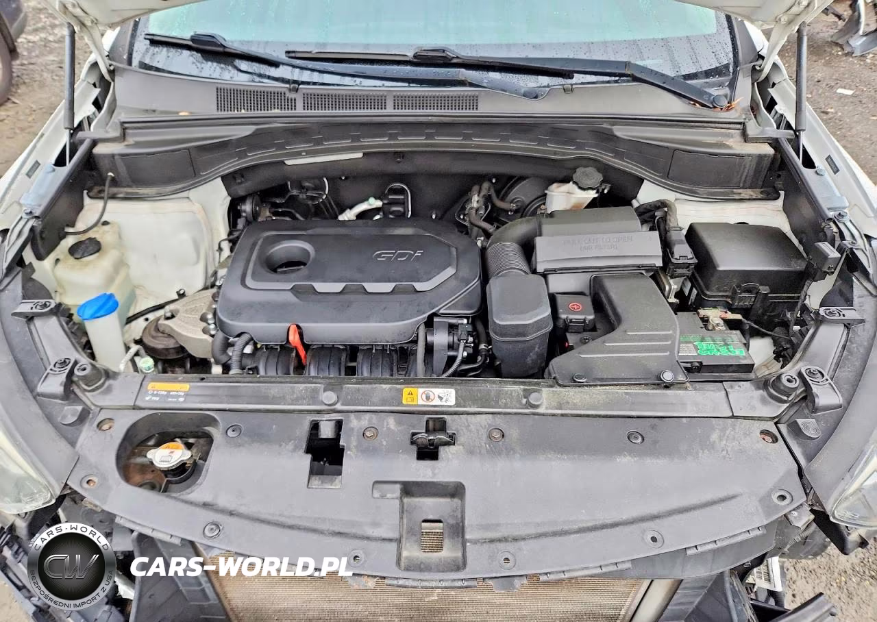 2017 Hyundai Santa Fe Sport 2.4L VIN:5NMZUDLB3HH013952 - 12