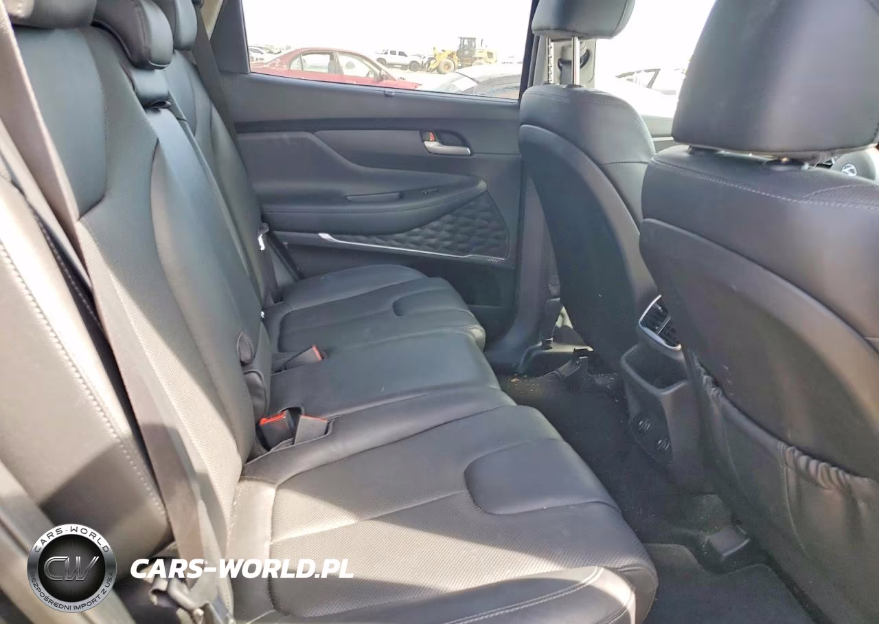 2020 Hyundai Santa Fe Sel VIN:5NMS3CAD9LH230885 - 10