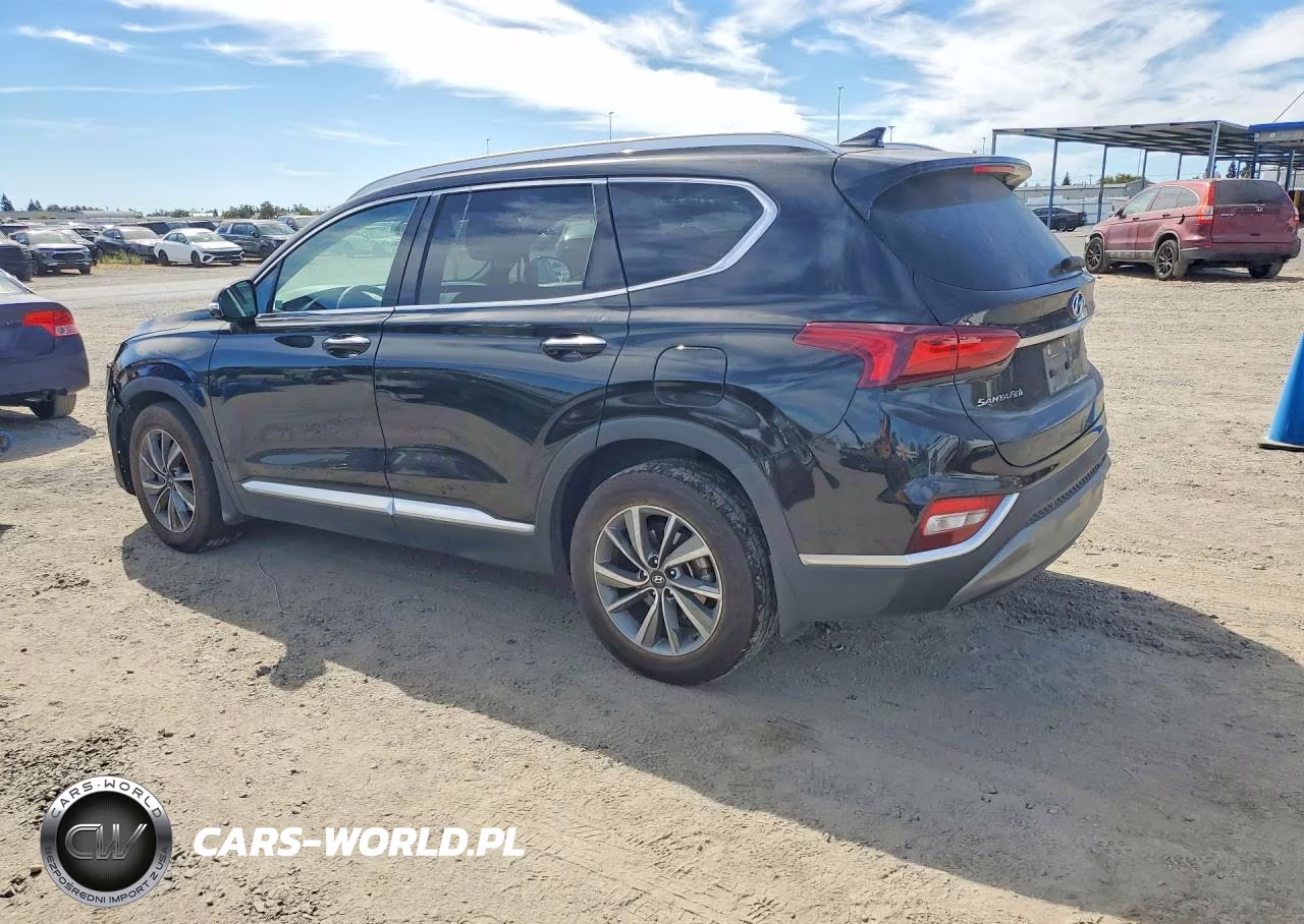 2020 Hyundai Santa Fe Sel VIN:5NMS3CAD9LH230885 - 2