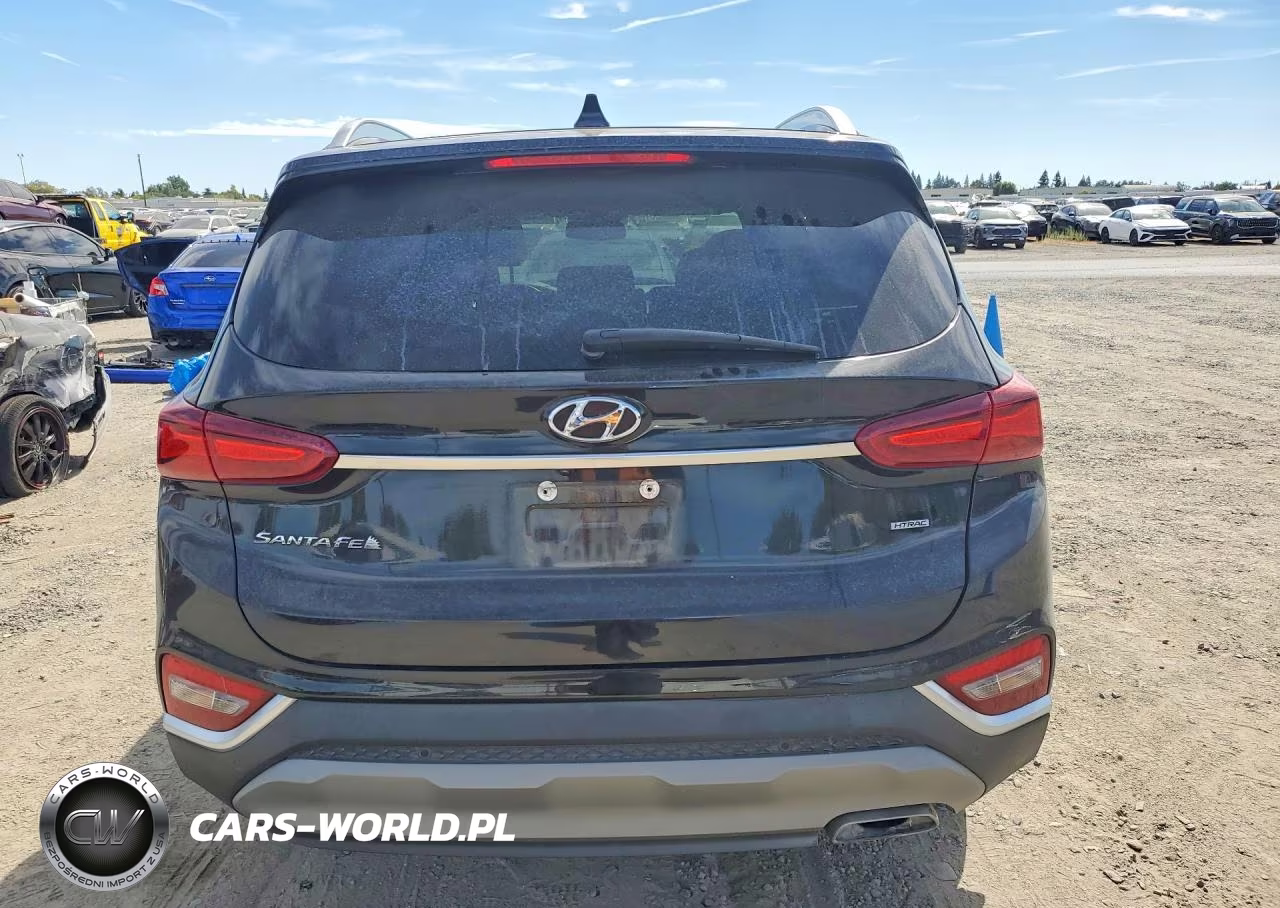 2020 Hyundai Santa Fe Sel VIN:5NMS3CAD9LH230885 - 6