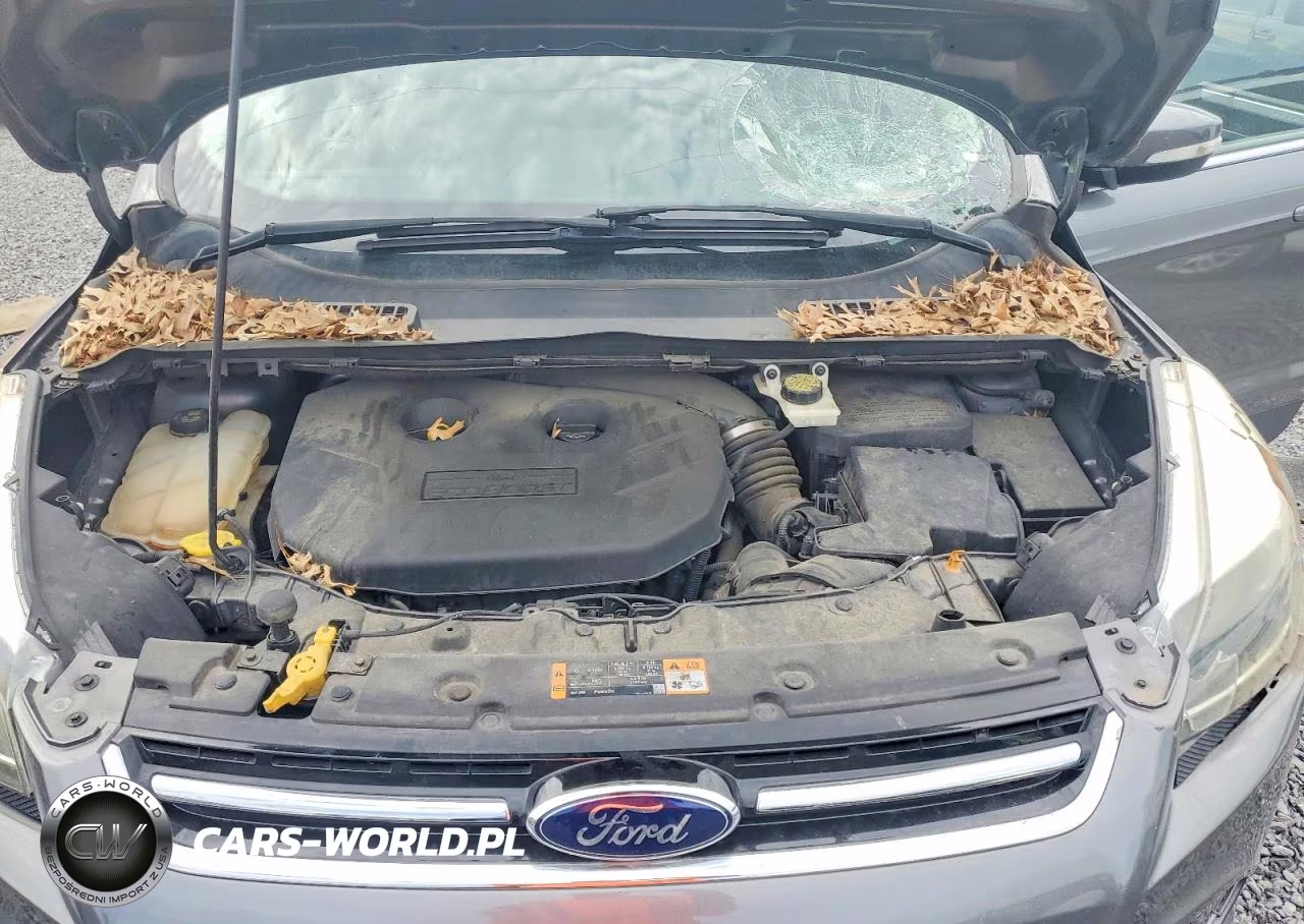 2014 Ford Escape Titanium VIN:1FMCU0J96EUB15681 - 12