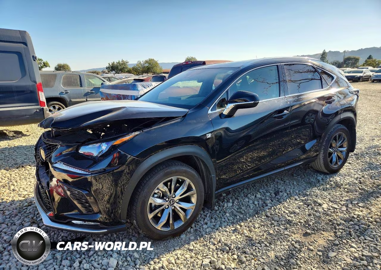 2020 Lexus Nx 300 F Sport VIN:JTJSARBZ1L2162523 - 1
