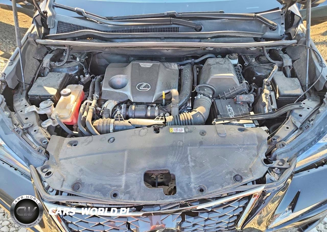 2020 Lexus Nx 300 F Sport VIN:JTJSARBZ1L2162523 - 12