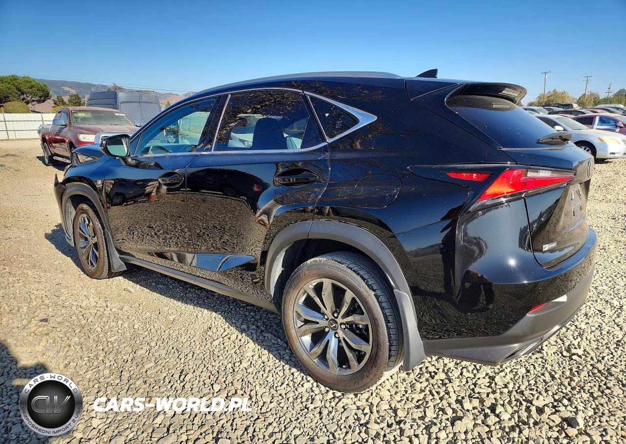 2020 Lexus Nx 300 F Sport VIN:JTJSARBZ1L2162523 - 2