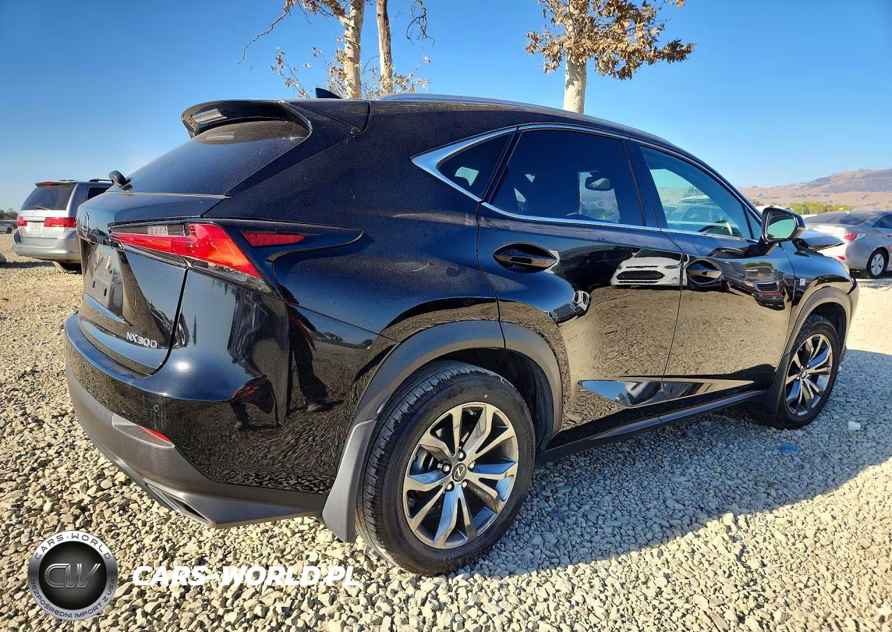 2020 Lexus Nx 300 F Sport VIN:JTJSARBZ1L2162523 - 3