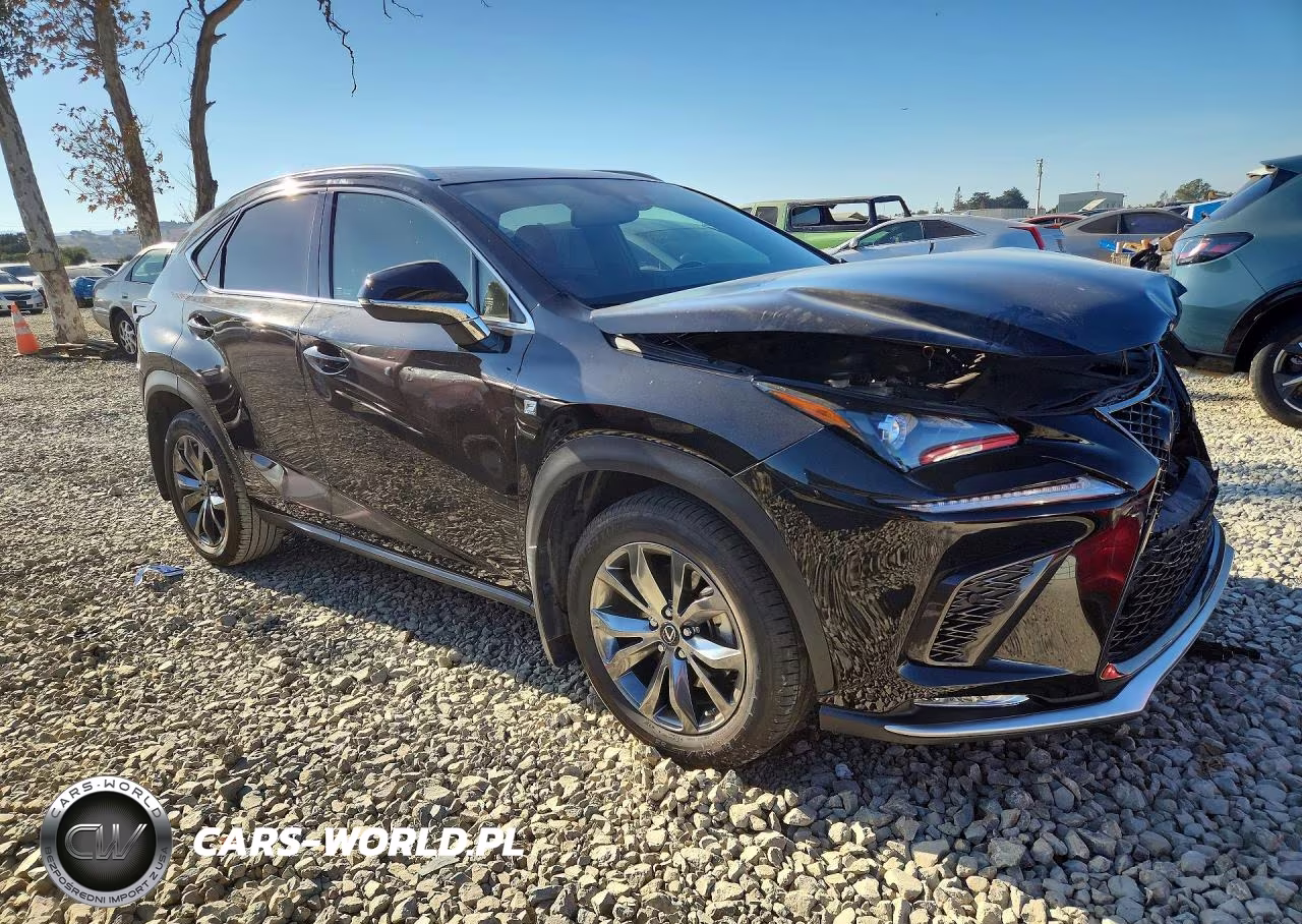 2020 Lexus Nx 300 F Sport VIN:JTJSARBZ1L2162523 - 4