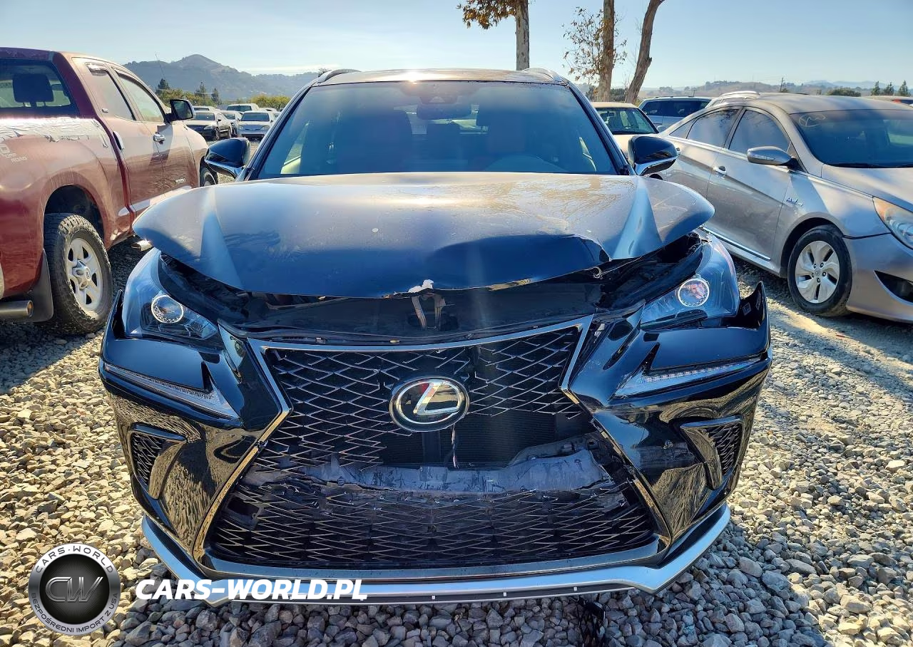 2020 Lexus Nx 300 F Sport VIN:JTJSARBZ1L2162523 - 5