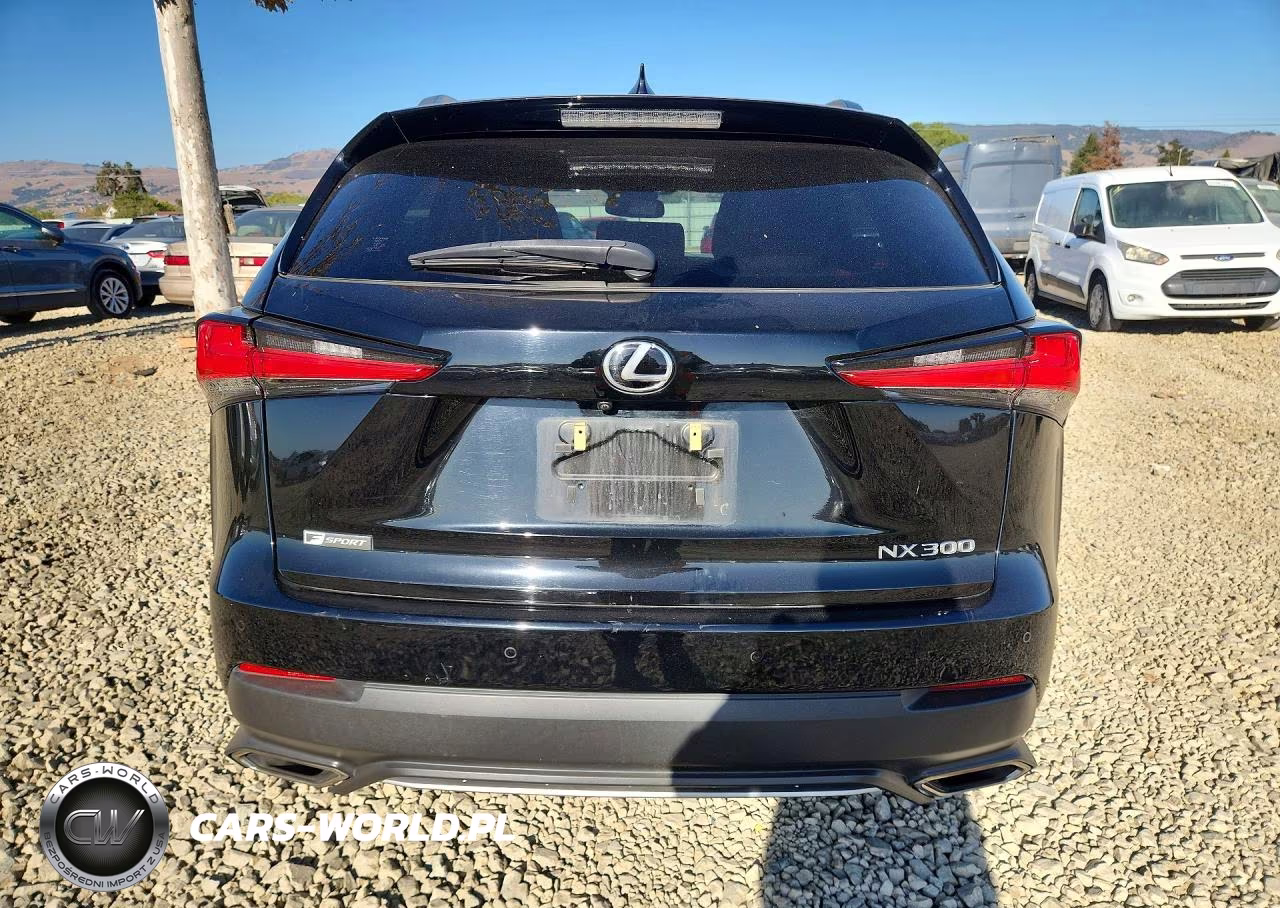 2020 Lexus Nx 300 F Sport VIN:JTJSARBZ1L2162523 - 6