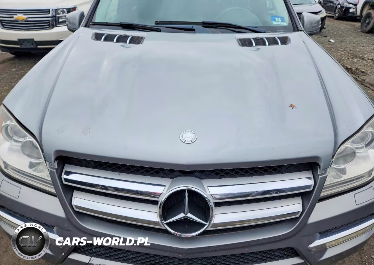 2011 Mercedes-Benz Gl 450 4Matic VIN:4JGBF7BE8BA625523 - 12