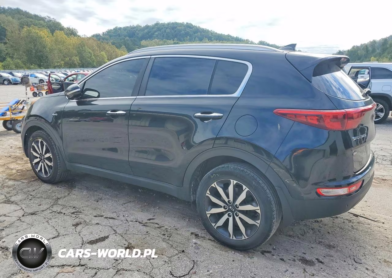2017 Kia Sportage Ex VIN:KNDPNCAC3H7163450 - 2