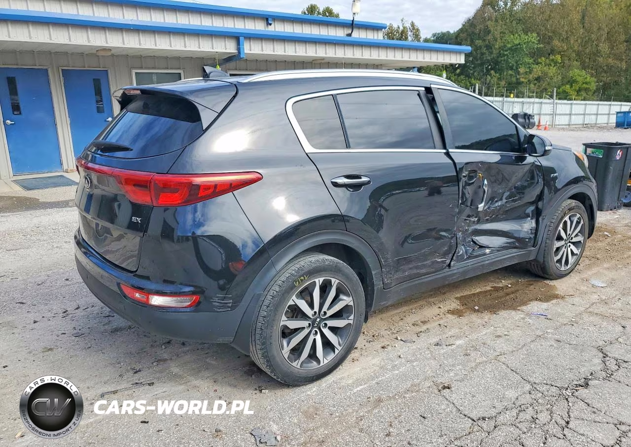 2017 Kia Sportage Ex VIN:KNDPNCAC3H7163450 - 3