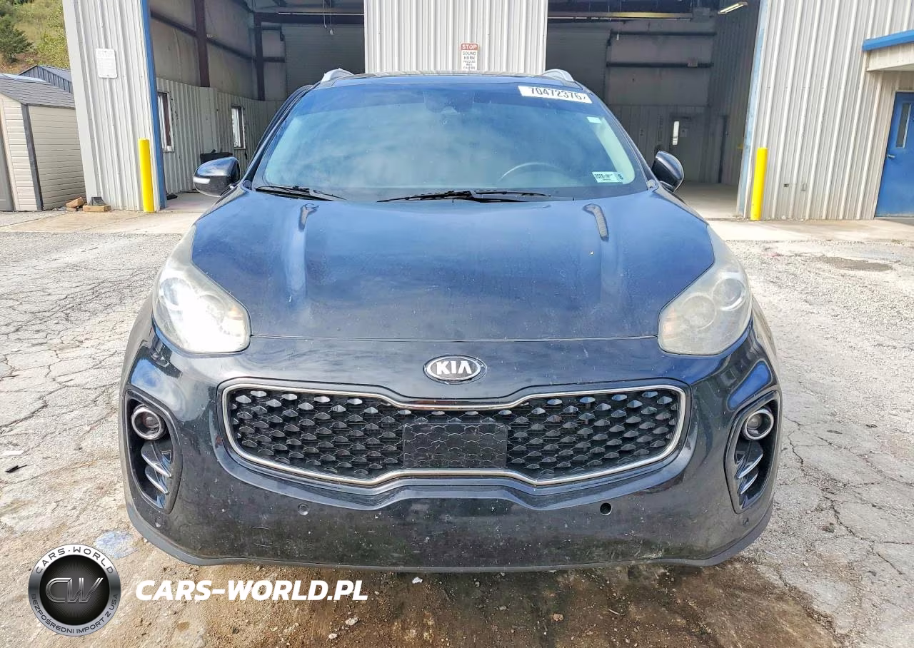2017 Kia Sportage Ex VIN:KNDPNCAC3H7163450 - 5