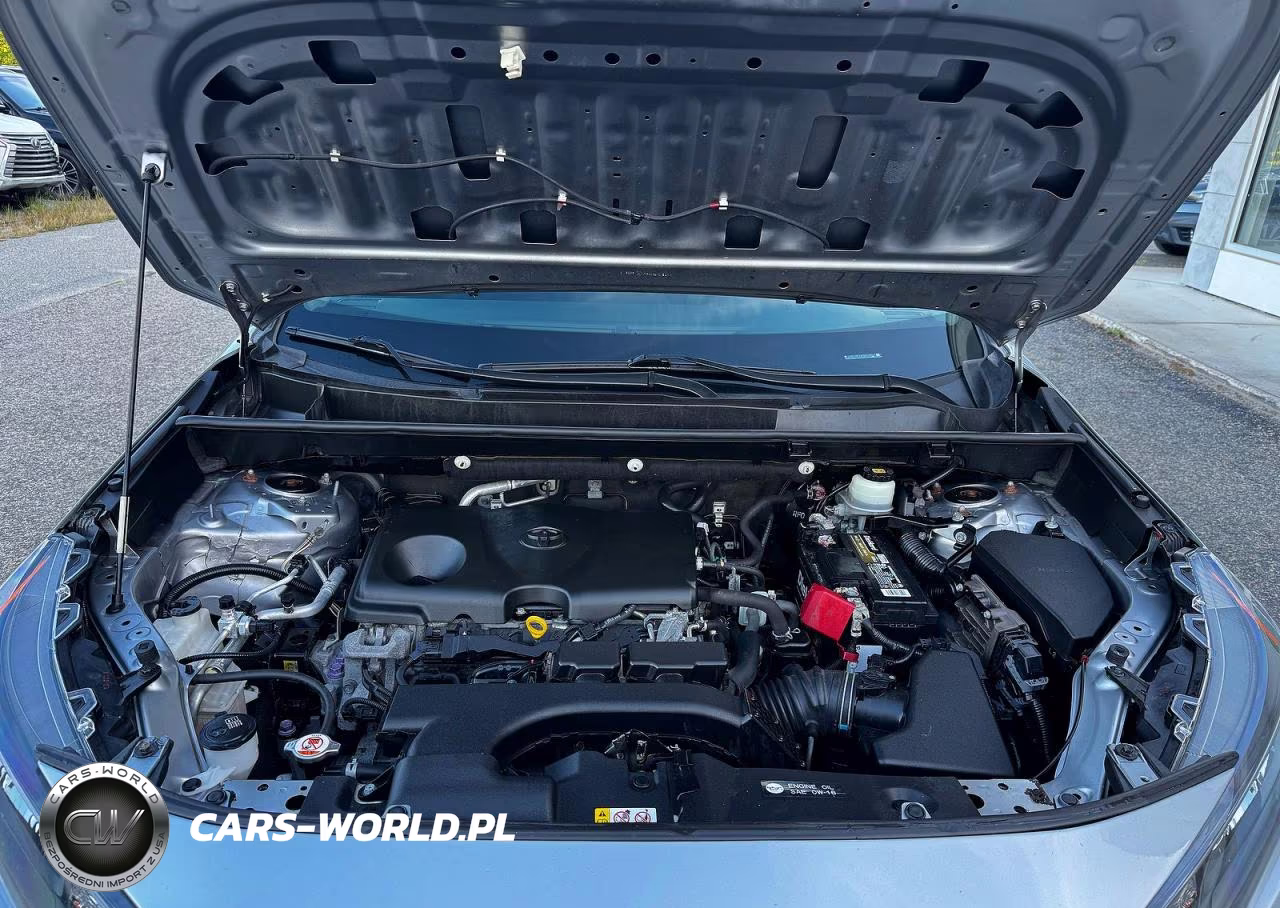 2019 Toyota Rav4 Le VIN:JTMF1RFVXKD012957 - 7