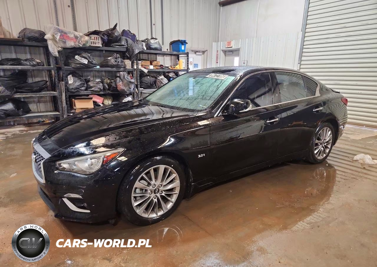 2019 Infiniti Q50 3.0T Luxe VIN:JN1EV7AR3KM551096 - 1