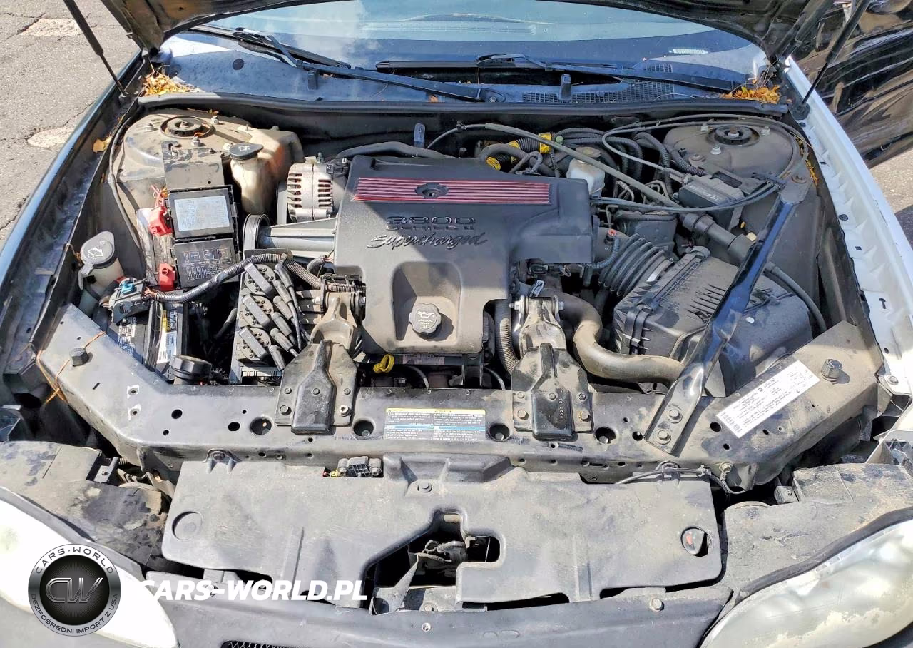 2004 Chevrolet Monte Carlo Ss Supercharged VIN:2G1WZ121649307723 - 11