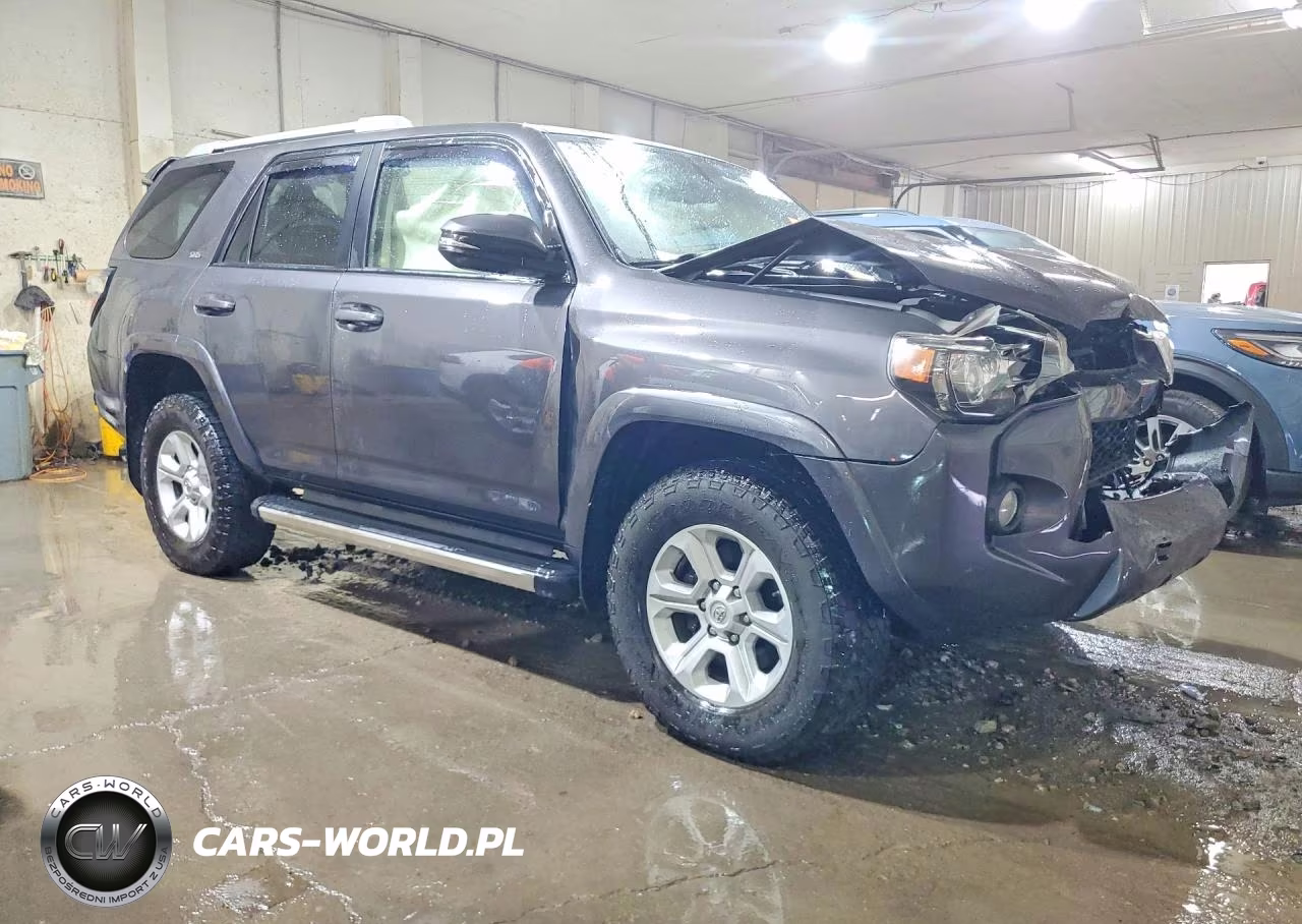 2017 Toyota 4Runner Sr5 Premium VIN:JTEBU5JR2H5462366 - 4