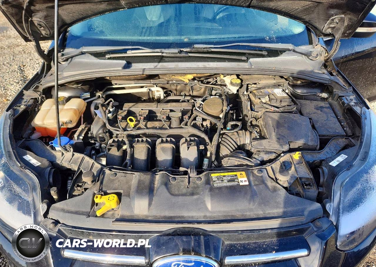 2014 Ford Focus Titanium VIN:1FADP3N26EL111317 - 12