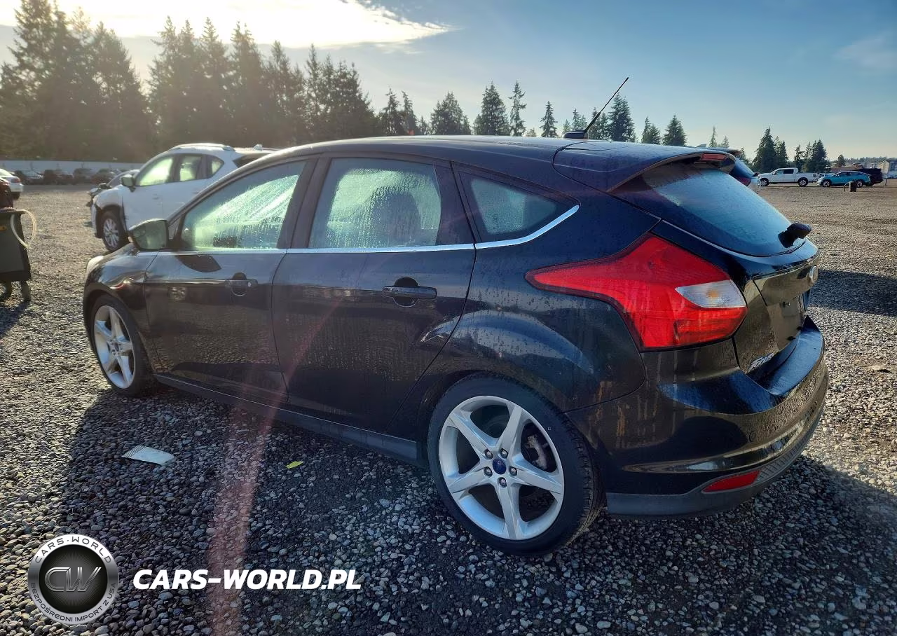 2014 Ford Focus Titanium VIN:1FADP3N26EL111317 - 2