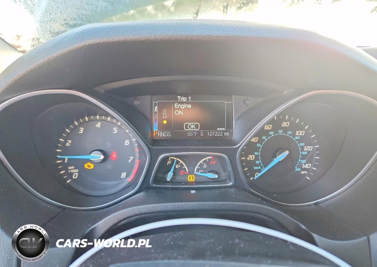 2014 Ford Focus Titanium VIN:1FADP3N26EL111317 - 9