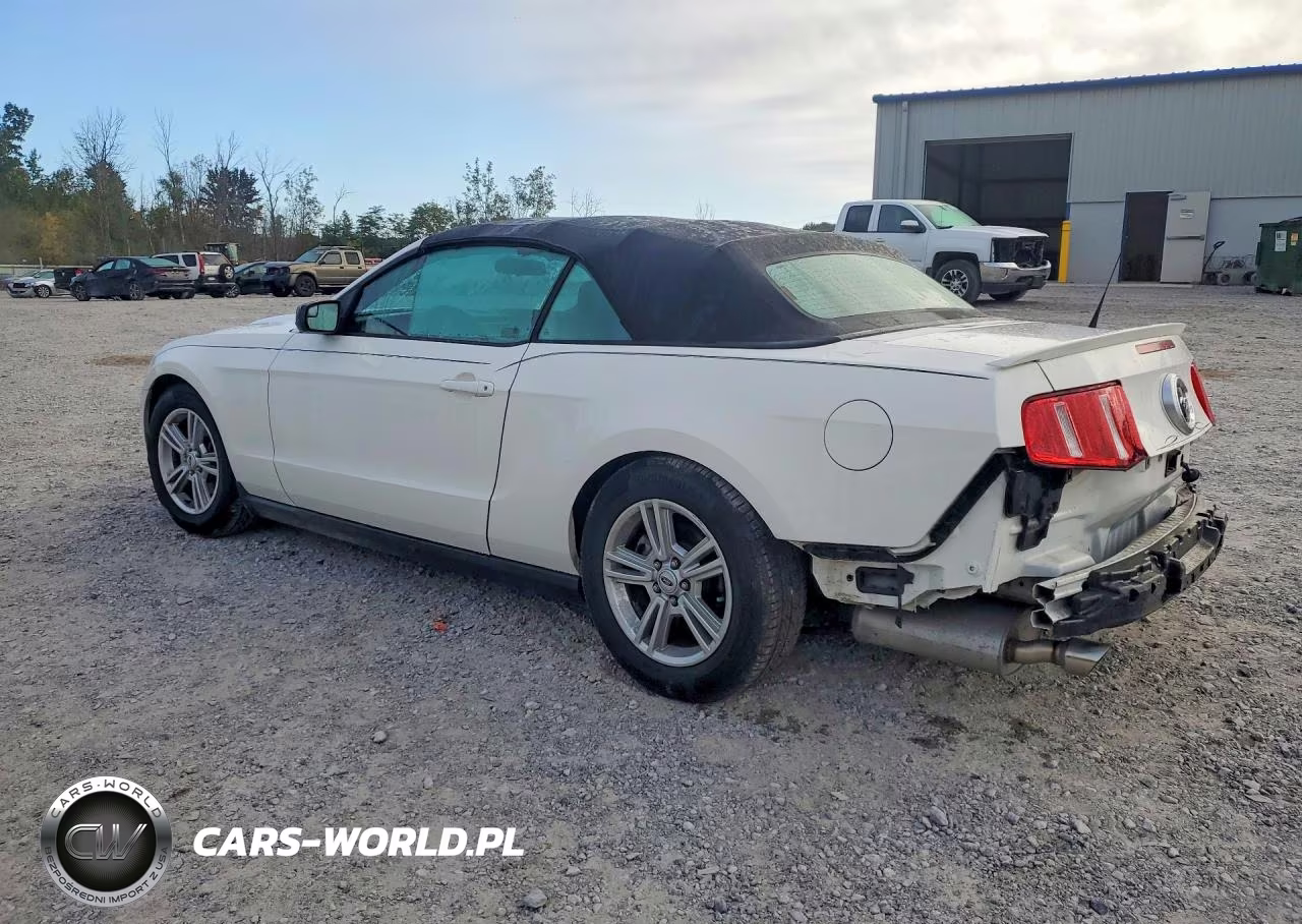 2012 Ford Mustang VIN:1ZVBP8EM8C5203544 - 2