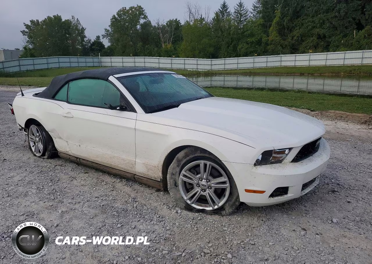 2012 Ford Mustang VIN:1ZVBP8EM8C5203544 - 4