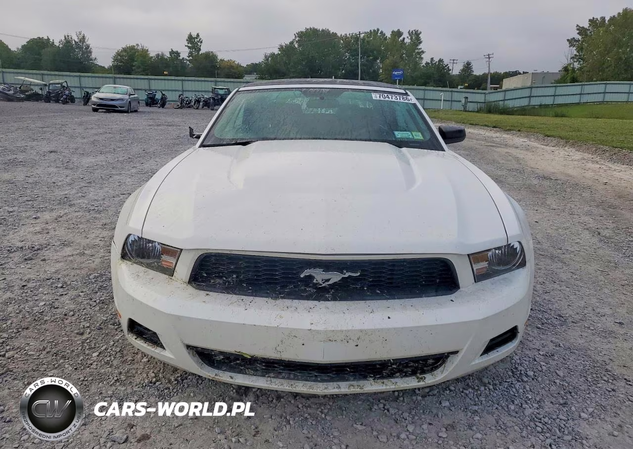 2012 Ford Mustang VIN:1ZVBP8EM8C5203544 - 5