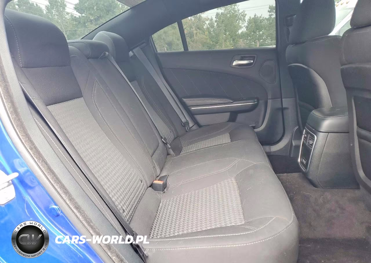 2018 Dodge Charger R-T VIN:2C3CDXCTXJH335381 - 10