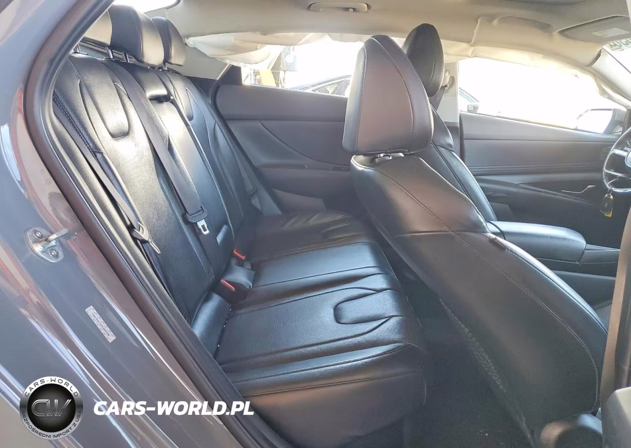 2021 Hyundai Elantra Limited VIN:KMHLN4AJ5MU008490 - 10