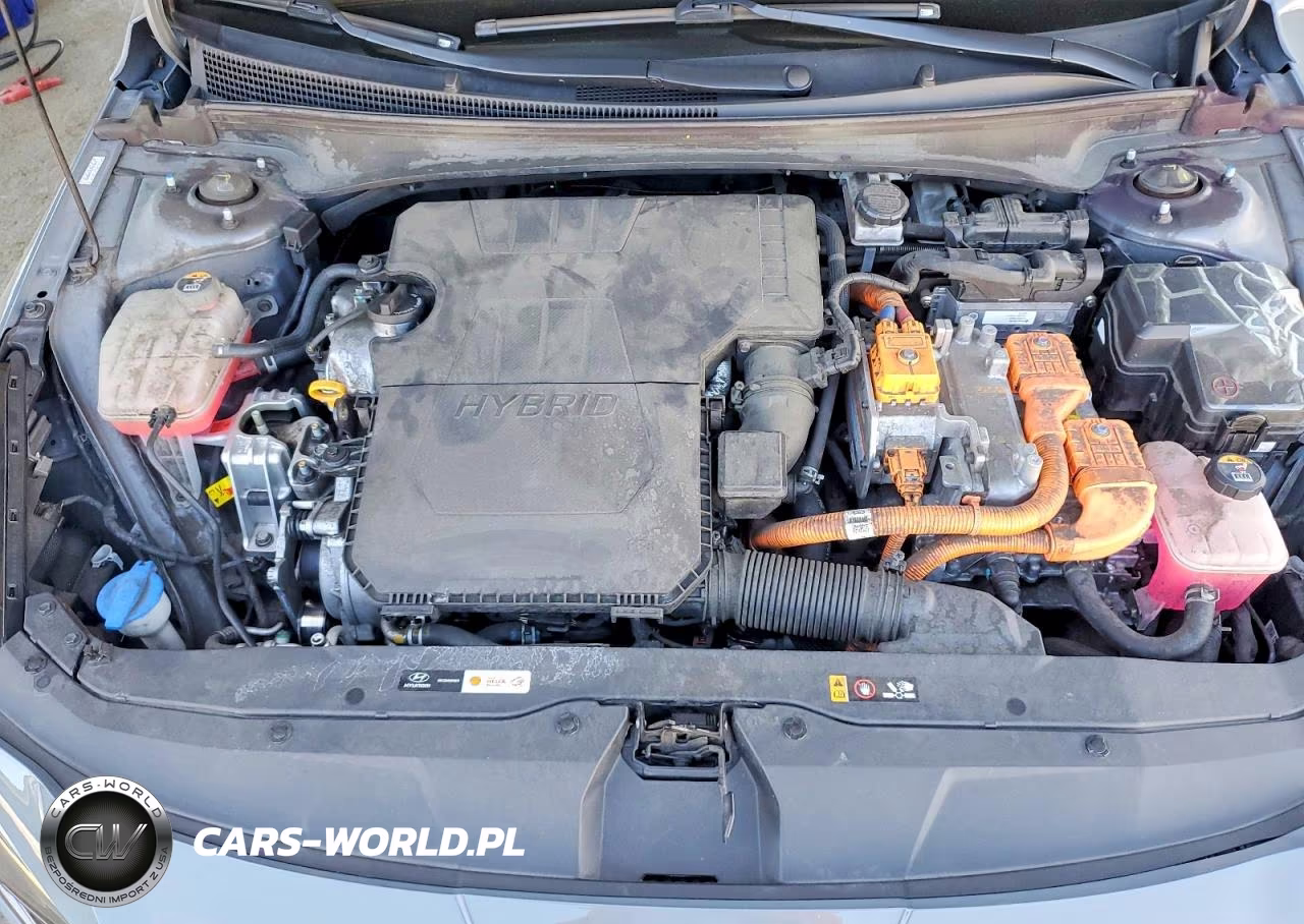2021 Hyundai Elantra Limited VIN:KMHLN4AJ5MU008490 - 11