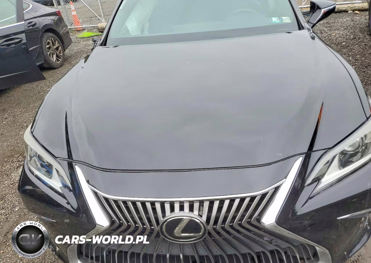 2019 Lexus Es 350 VIN:58ABZ1B13KU035710 - 11