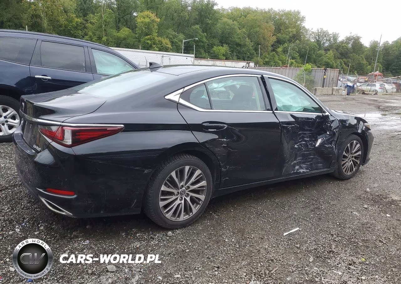 2019 Lexus Es 350 VIN:58ABZ1B13KU035710 - 3