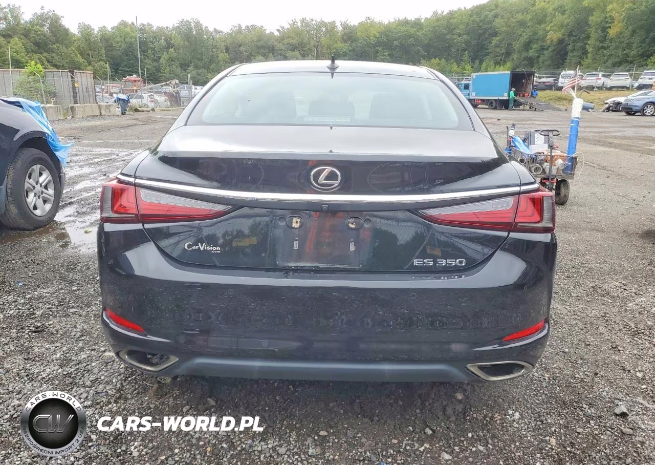 2019 Lexus Es 350 VIN:58ABZ1B13KU035710 - 6