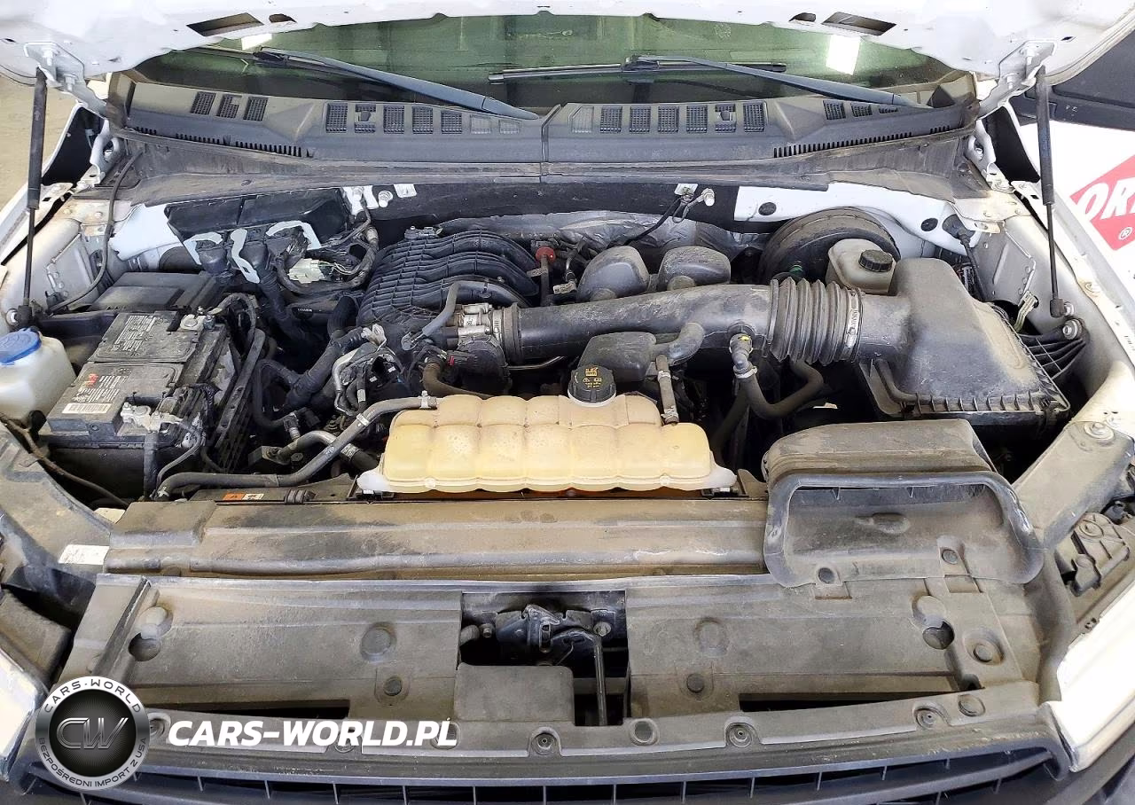 2019 Ford F150 VIN:1FTMF1CB8KKD84961 - 11