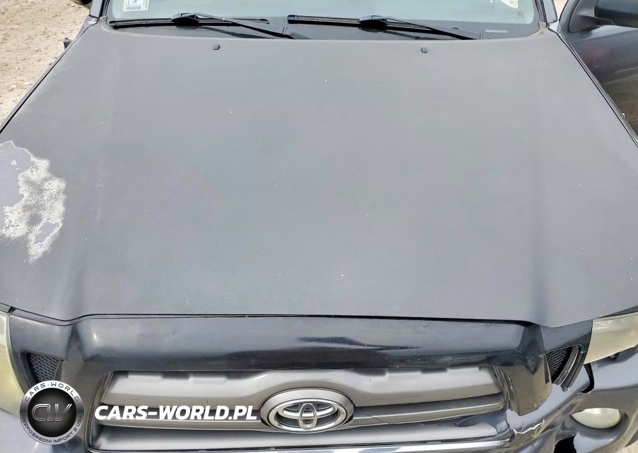 2009 Toyota Tacoma V6 VIN:5TEUU42N39Z625902 - 11