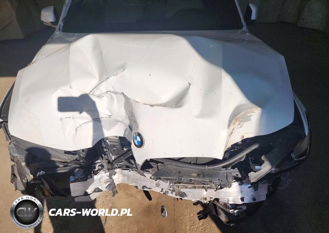 2021 BMW X5 Sdrive 40I VIN:5UXCR4C05M9E49862 - 12