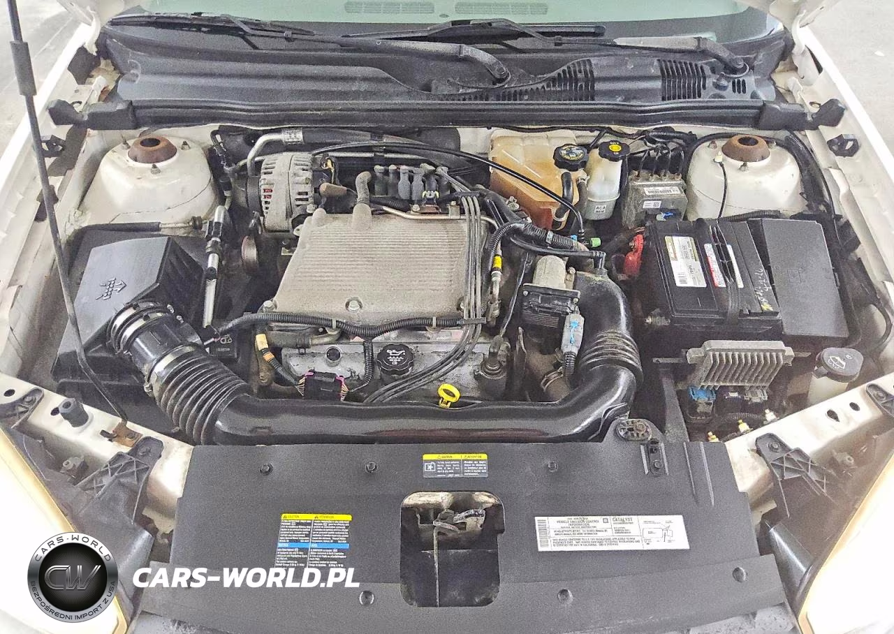 2004 Chevrolet Malibu VIN:1G1ZS52834F146311 - 11